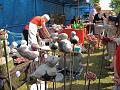 6de Crijtrally + 35ste Crijtfeesten 2012 (275)